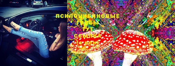 apvp Липки