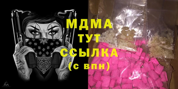 СК Алексин