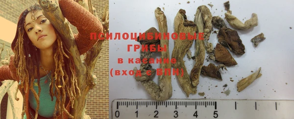 ПСИЛОЦИБИНОВЫЕ ГРИБЫ Лихославль